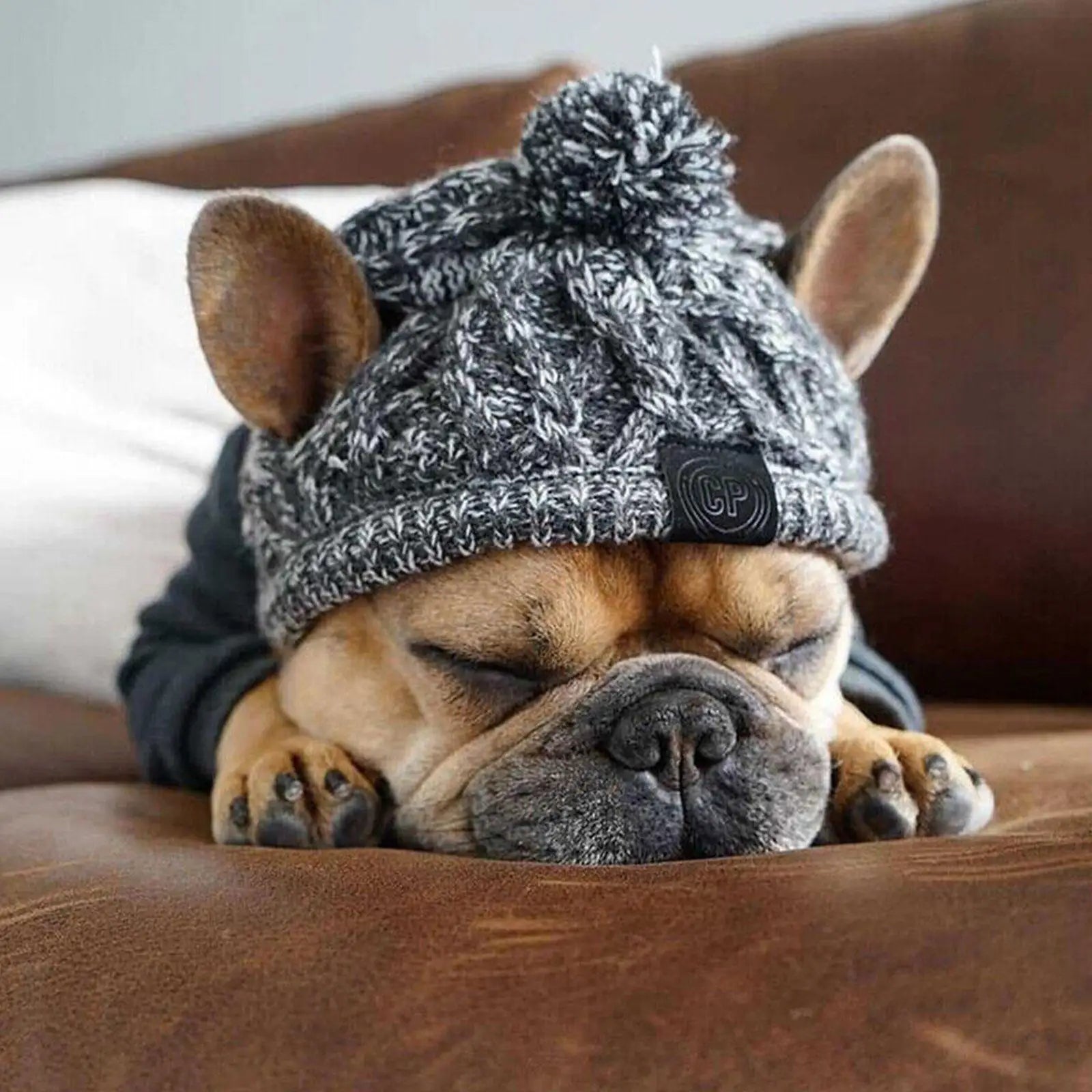 Winter Dog Beanie - Deveaux