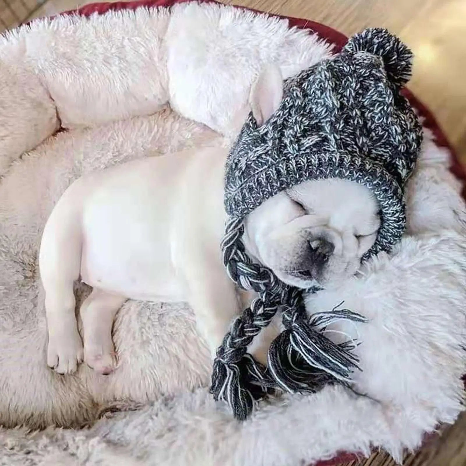 Winter Dog Beanie - Deveaux