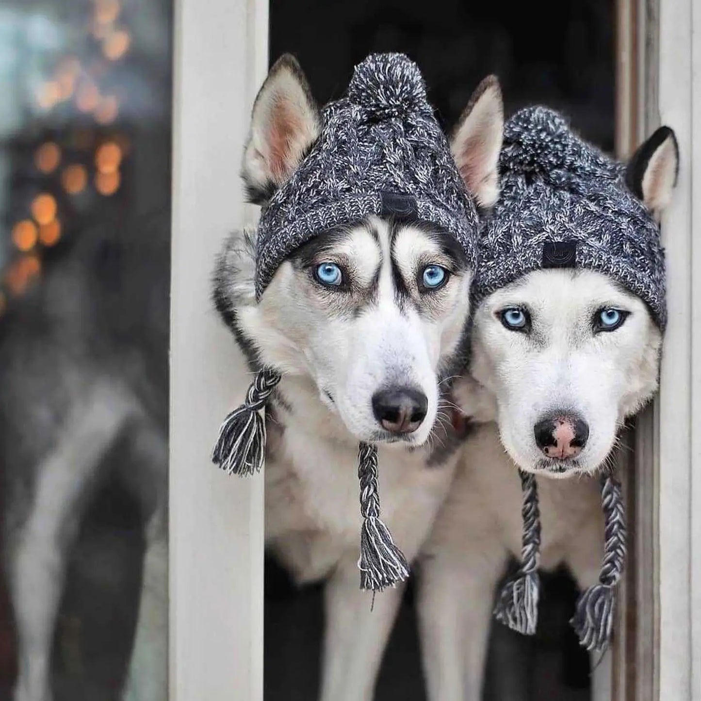 Winter Dog Beanie - Deveaux